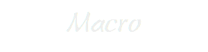 Macro